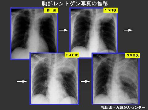 画像ID:4015