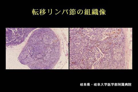 画像ID:4041