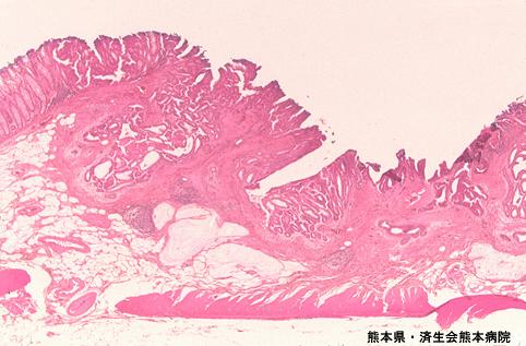 画像ID:4070