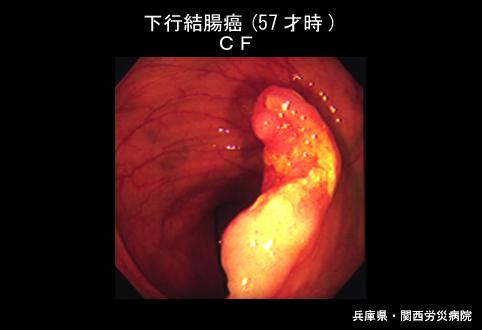 画像ID:4073