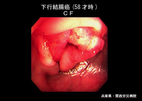 画像ID:4074