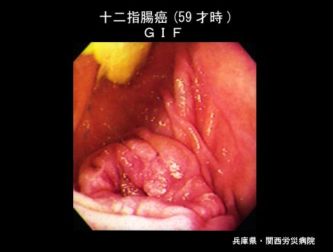 画像ID:4075