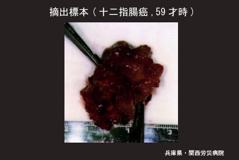 画像ID:4077