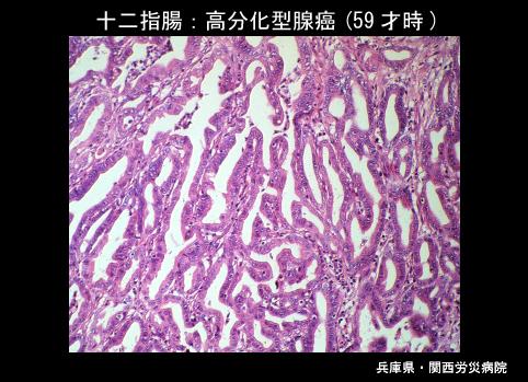 画像ID:4082