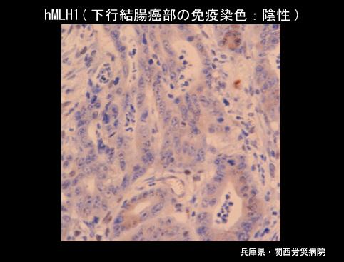 画像ID:4084