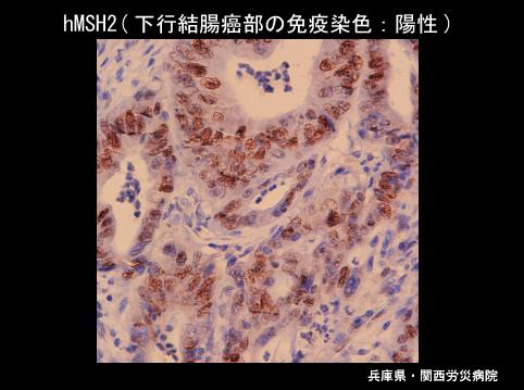 画像ID:4086