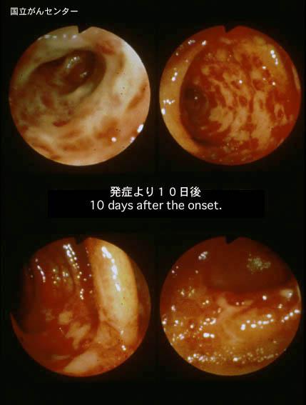 画像ID:4187