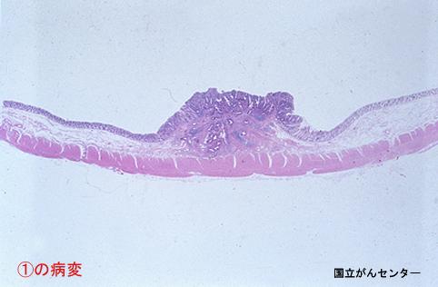 画像ID:4202