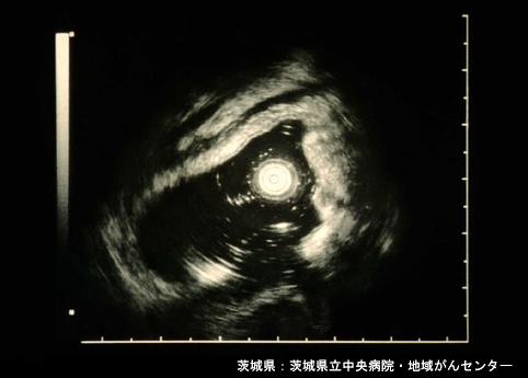 画像ID:4278