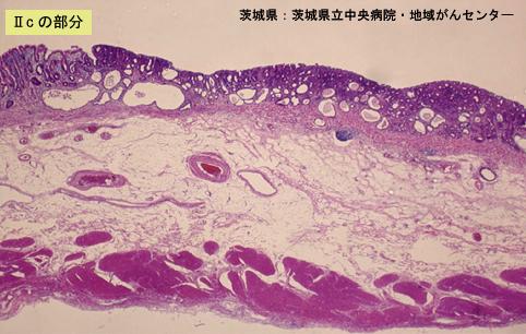 画像ID:4319