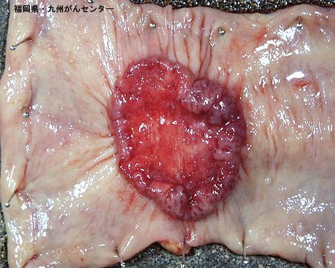 画像ID:4404