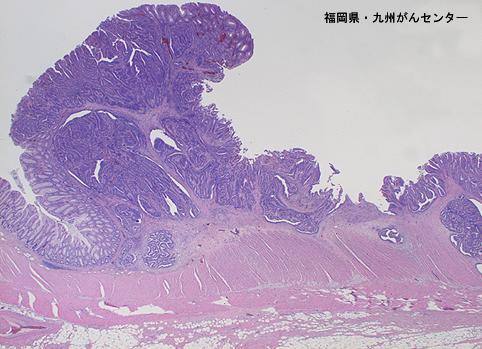 画像ID:4407