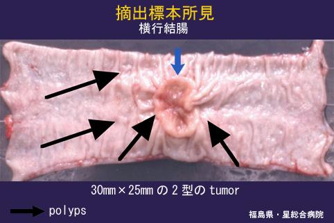 画像ID:4462
