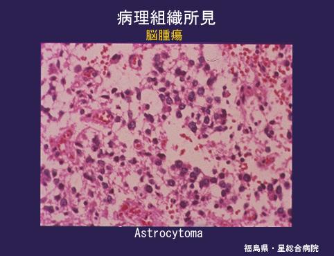 画像ID:4470