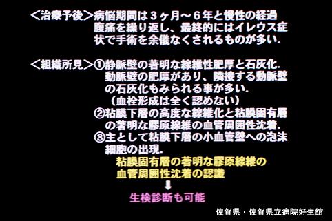 画像ID:4501