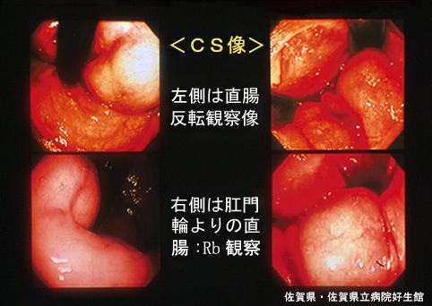 画像ID:4505