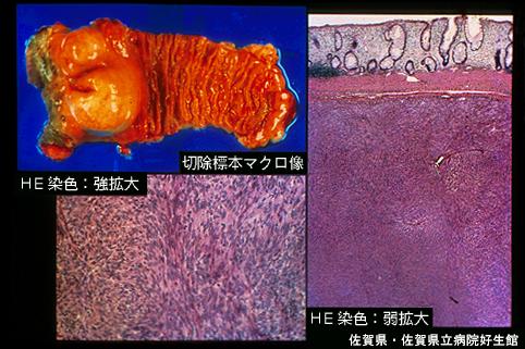 画像ID:4510