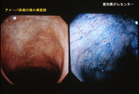 画像ID:4523