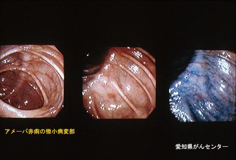 画像ID:4529