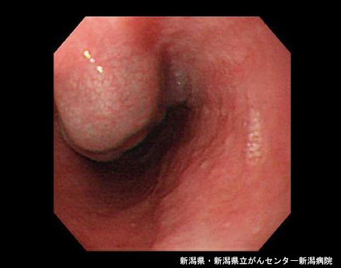 画像ID:4541