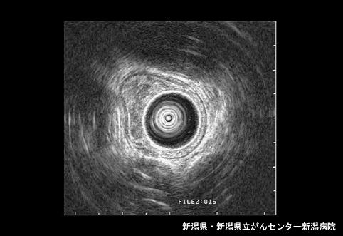 画像ID:4546