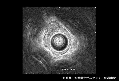 画像ID:4547