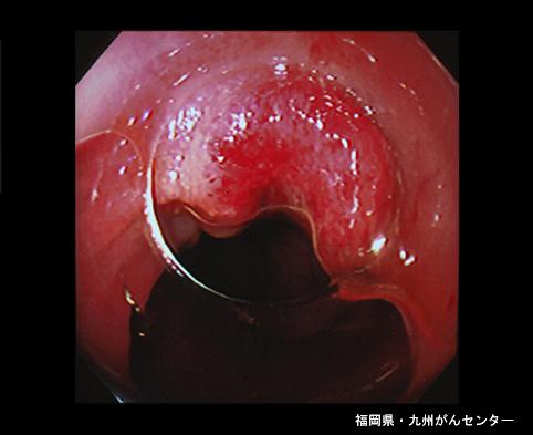 画像ID:4559