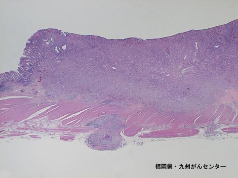 画像ID:4566