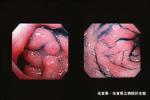 画像ID:4599