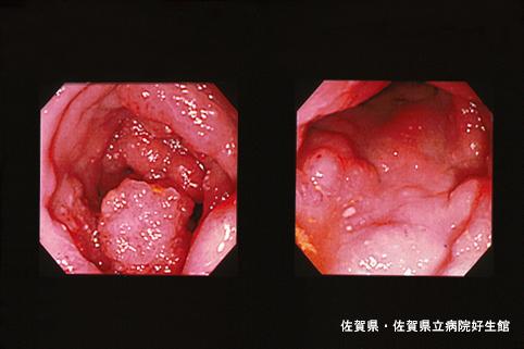 画像ID:4600