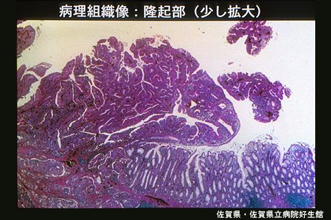 画像ID:4607