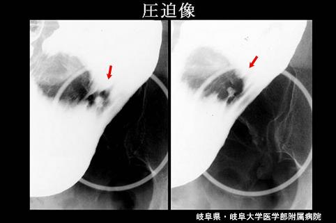 画像ID:4624