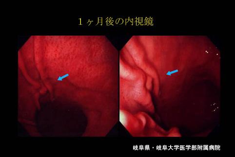 画像ID:4626