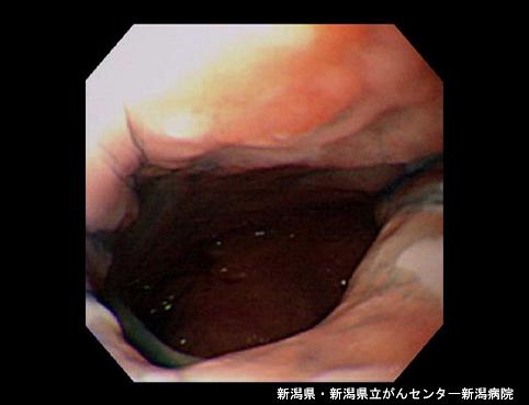 画像ID:4667