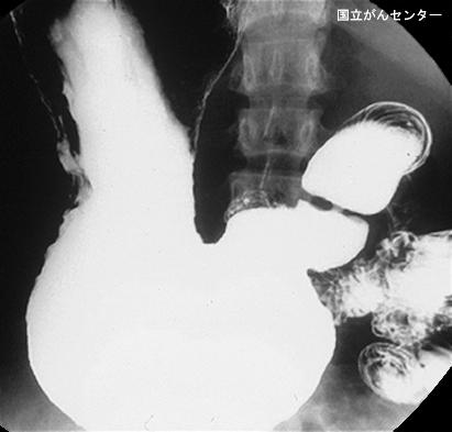 画像ID:4680