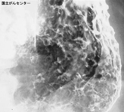 画像ID:4683
