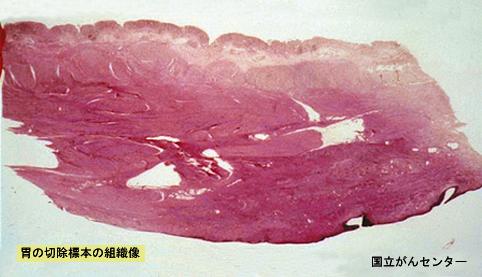 画像ID:4713