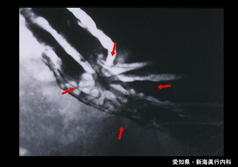 画像ID:4748