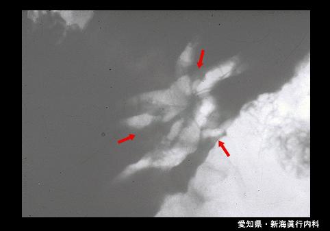 画像ID:4752