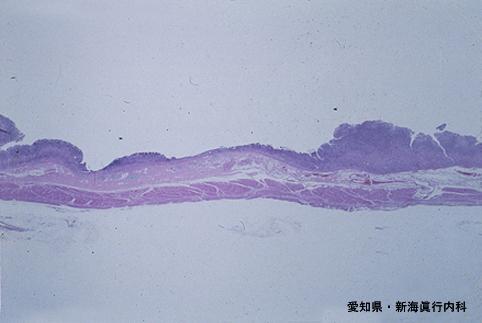 画像ID:4756