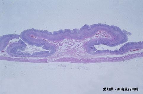 画像ID:4757