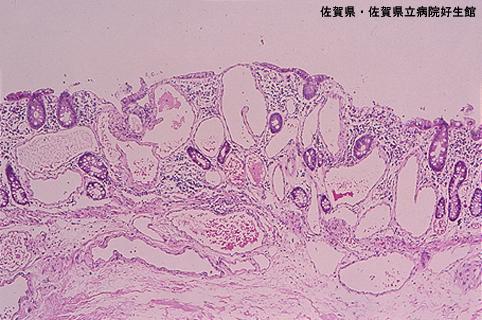 画像ID:4772