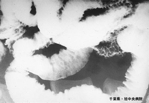 画像ID:4792