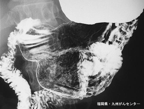 画像ID:4797