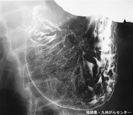 画像ID:4800