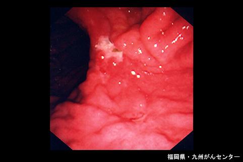 画像ID:4801