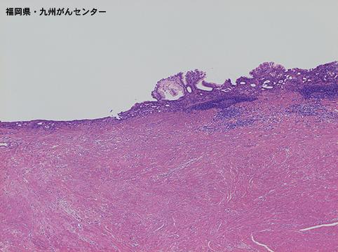画像ID:4817