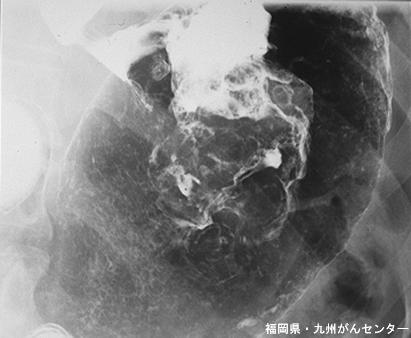 画像ID:4827