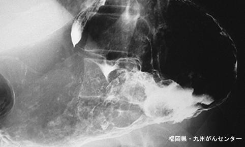 画像ID:4830