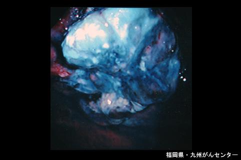 画像ID:4837